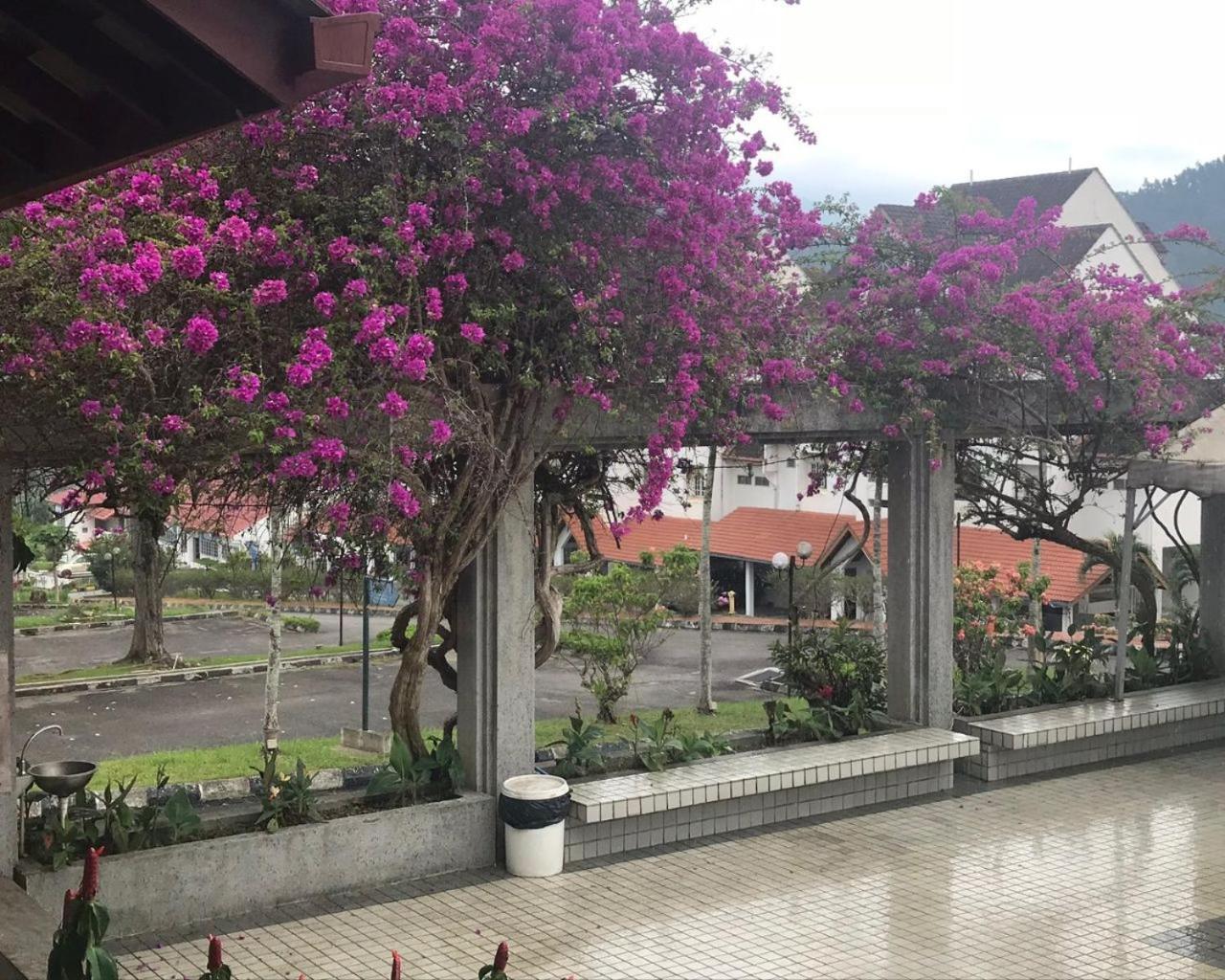 Thatniceplace In Selesa Hillhome, Bukit Tinggi, Bentong, Genting Apartment *